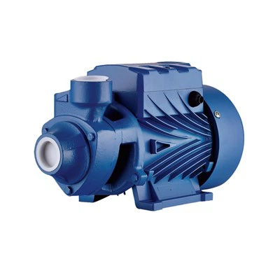 Gjutjärnsvirvelpump